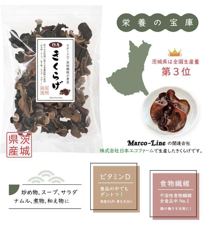 秋田県産 無農薬 ジャンボ肉厚きくらげ キクラゲ お 木耳 茶ポイント12点 乾燥 きくらげ 500g国産