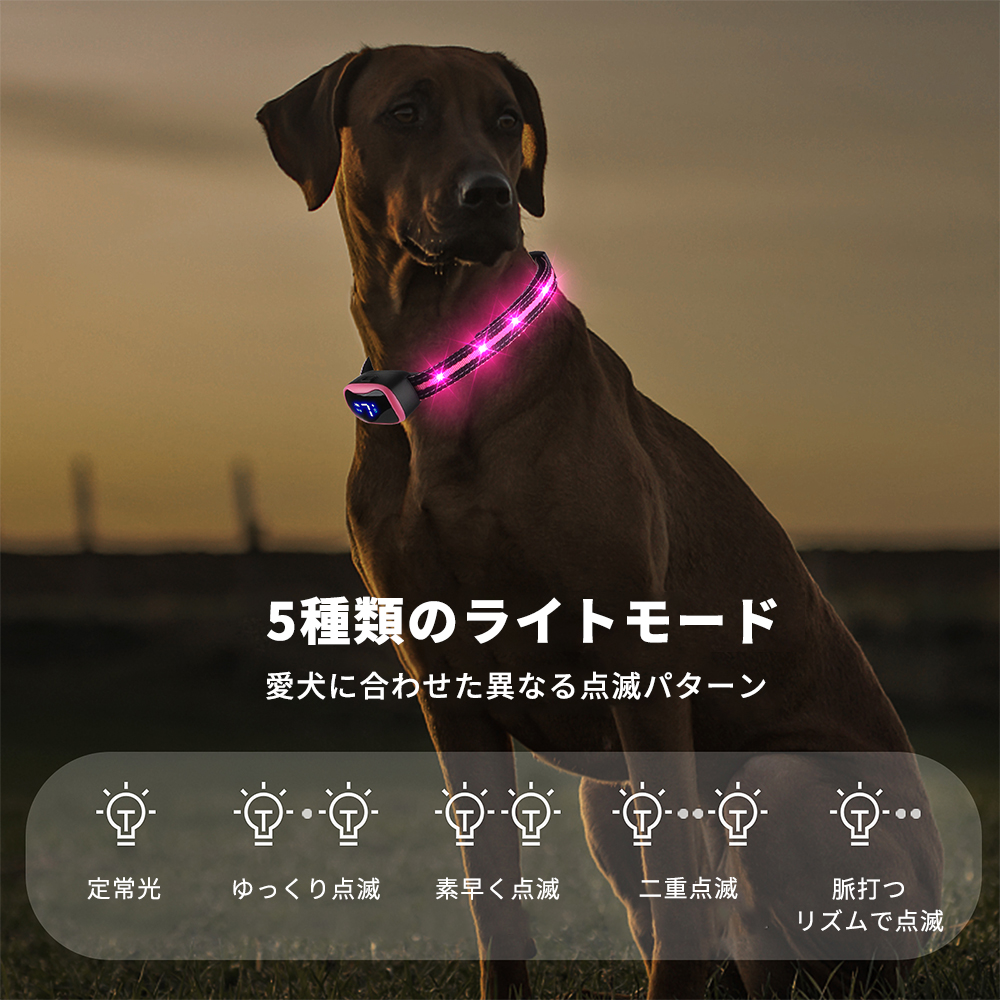 無駄吠え防止首輪 LED付 (ピンク) 光る首輪 犬 しつけ グッズ 安全 自動 ビープ音 振動 7段階センサー おすすめ 防水 IP67 充電  30～60cm